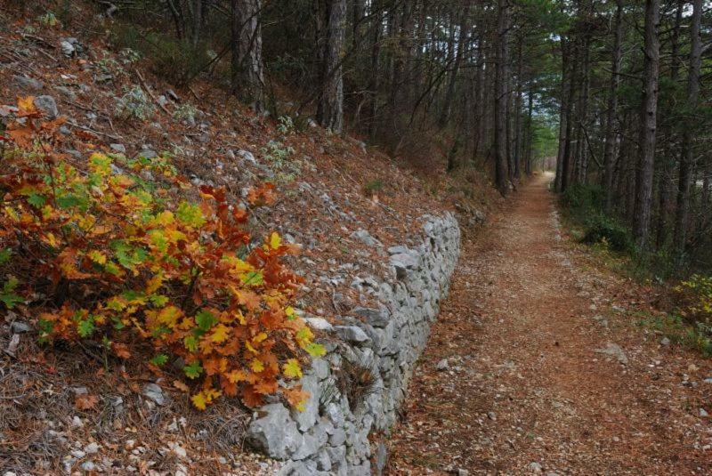 Marijan Apartments Crikvenica Kültér fotó